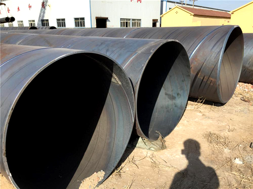 �����ھ���������